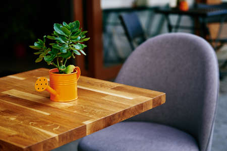 Empty table at cafe with plant in vase shape of watering can. Street cafe waiting for visitors