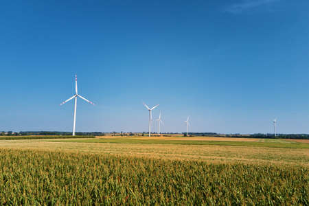 Windmill among agricultural fields. Wind turbine generator at summer day. Wind energy concept....