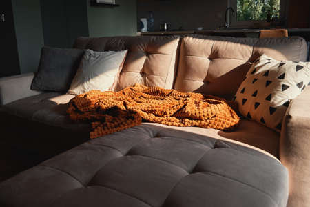 Sofa with plaid and cup of tea. Place for relaxation. Moderm room interiorの写真素材