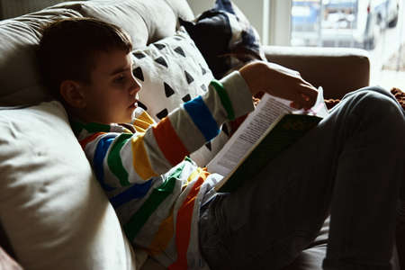 Young boy reading book on the sofa at home