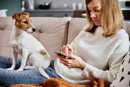 Woman resting on sofa with her dog and using smartphoneの写真素材