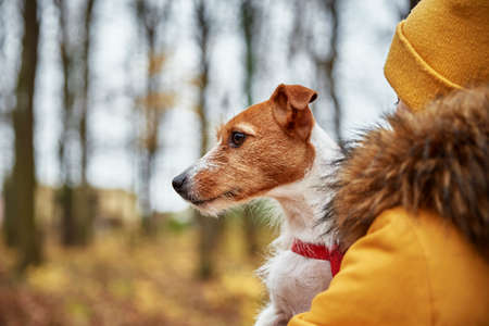 Close up portrait of woman and her dog in autumn parkの写真素材