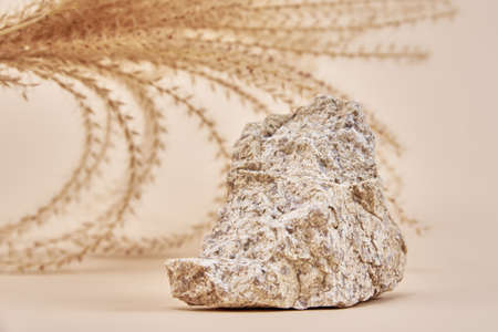 Natural stone podium and dry plant branch on beige background, minimal copy space background for...