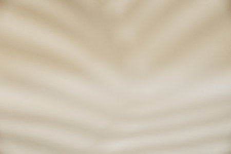 Abstract background with tropical palm leaves shadow on beige wall, Creative minimal design with copy space, Summer concept, flat layの写真素材