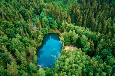 Blue lake in the middle of green forest, aerial view. Wild colorful lake in mountain park in Poland....