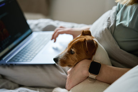 Woman with cute dog relaxing in bed at morning and use laptop. Comfortable work from home for freelancer. Spending time together, pet affectionの写真素材