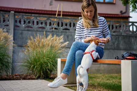 Woman and dog spending time together outdoors, dog eat feed. Pet asking treats while walking with...
