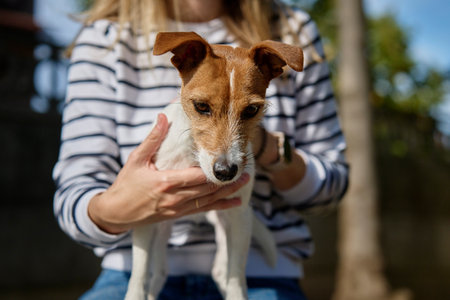 Woman is stroking dog. Female owner is spending time together with pet outdoors. Friendship between animal and people.の写真素材