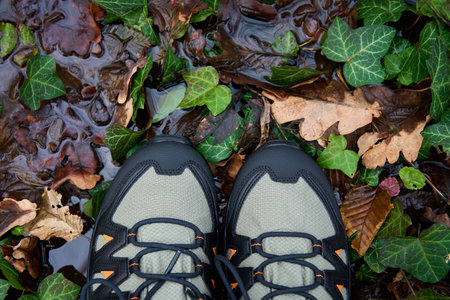 Hiking boots stands on forest floor, submerged in water puddle, surrounded by fallen leaves. Sturdy trekking shoes against a backdrop of forest terrain. Concept of exploration and outdoor activitiesの写真素材