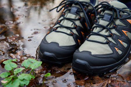 Hiking boots stands on forest floor, submerged in water puddle, surrounded by fallen leaves. Sturdy trekking shoes against a backdrop of forest terrain. Concept of exploration and outdoor activitiesの写真素材
