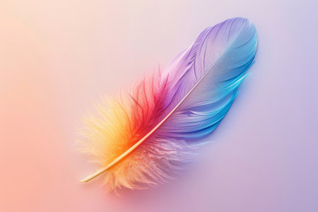 Colored bird feather floating in air on gradient backgroundの素材