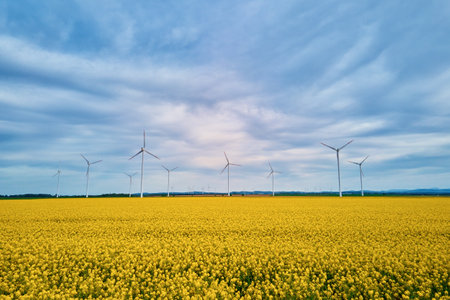 Wind generators over colorful agricultural fields with blooming rapeseed. Turbines produce electricity using wind energy. Green energy developmentの写真素材