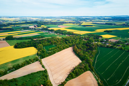 Aerial view of landscape with yellow rapeseed fields. Nature background with patchwork view of...