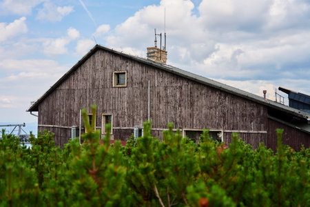 Rustic wooden house surrounded by lush green plants against cloudy sky in countryside. Weathered hut in nature landscapeの写真素材