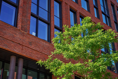 Lush green tree next to modern red brick building. Facade of residential building. Contemporary...