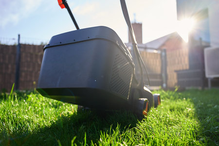 Electric lawn mower cutting green grass in backyard of suburban house. Concept of gardening,...