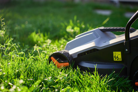 Close-up of electric lawn mower cutting green grass on sunny day in backyard. Concept of gardening, lawn care and landscapingの写真素材