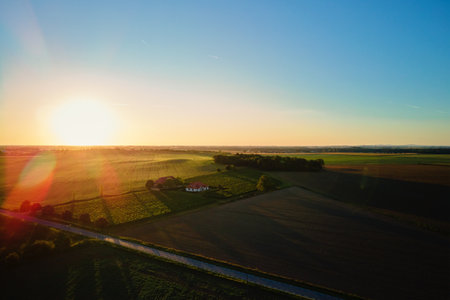 Small winery in sunlight, aerial view. Rows of vineyard and farmhouse surrounded by green fields at sunset. Private winemaking conceptの写真素材