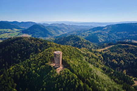 Aerial panoramic view of observation tower on forested mountain hill. Natural vast landscape with...