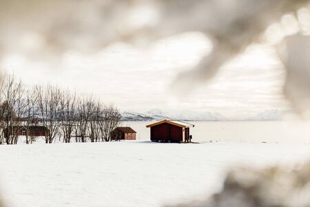 Travel in winter through the Lofoten islands, northern Norway.の写真素材