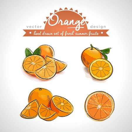 Orange. Vector Illustration Categories: Isolatedのイラスト素材