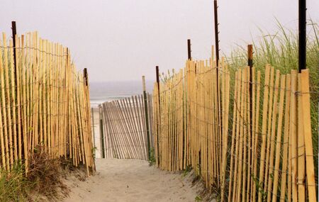 beach entrance with fenceの写真素材