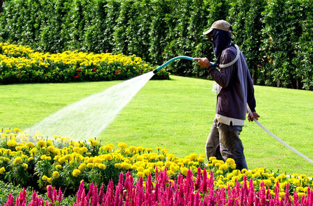  man watering green garden with a lot of flowersの写真素材