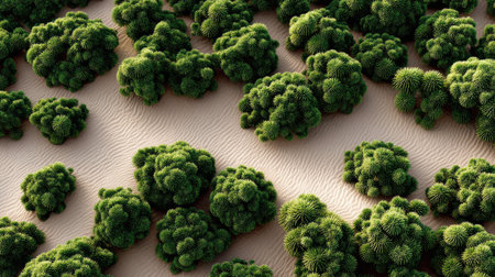 Aerial view of a desert filled with scattered cacti, forming a natural green pattern on sandy terrain.の素材