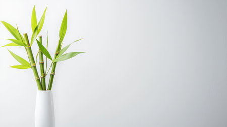 Decorative bamboo sticks arranged in a modern minimalist vase, white backgroundの素材