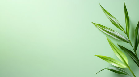 A delicate, light green background with a clean, minimalistic look, ideal for soft and refreshing designs.の素材