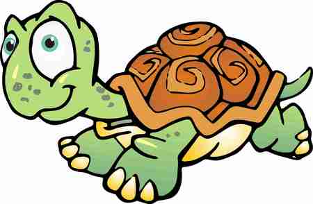 turtle runningの写真素材