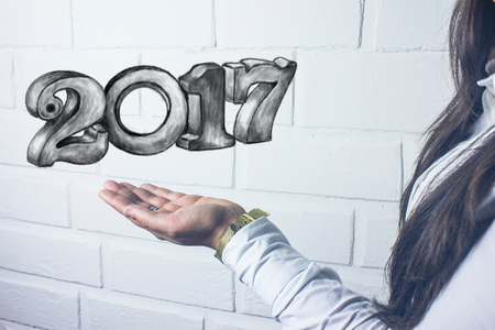 2017の写真素材