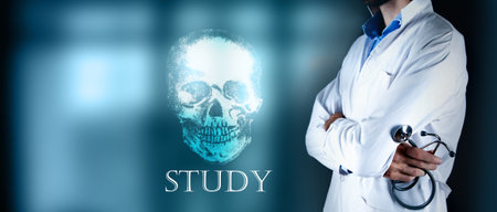 doctor examines a human skullの写真素材