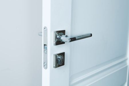 stylish doorknob and door in a design apartment