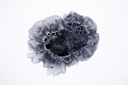 black white texture on white backgroundの写真素材