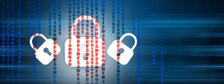 web protection. locks and codes