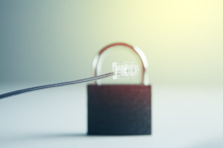 cable protected by a lockの写真素材