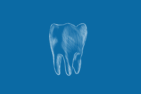 hand drawn tooth on blue backgroundの写真素材