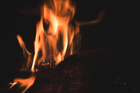 bonfire in the forest at night