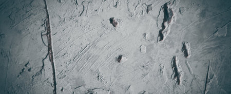 gray rock with colorful mossの写真素材