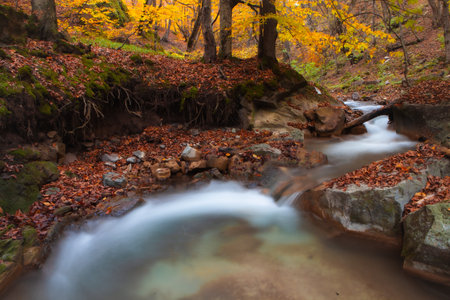 beautiful waterfall in the forestの写真素材