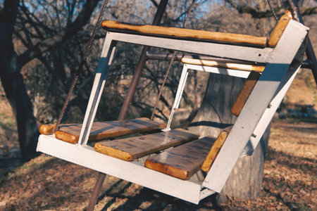 old wooden chair in the forest