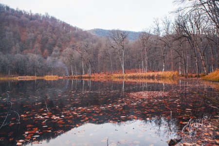 beautiful landscape with a lake in the mountainsの写真素材