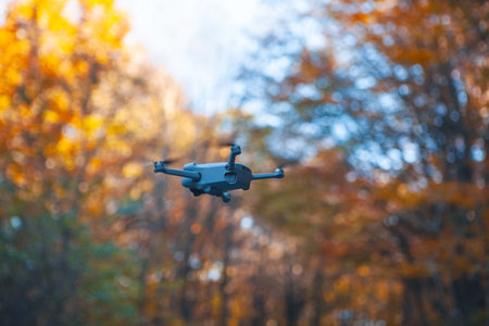 small drone in the forest