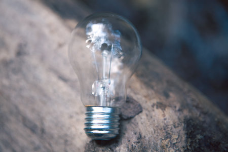 light bulb in the dark