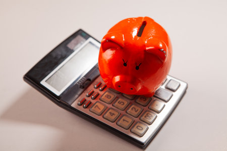 calculator with red pig on the white backgroundの写真素材