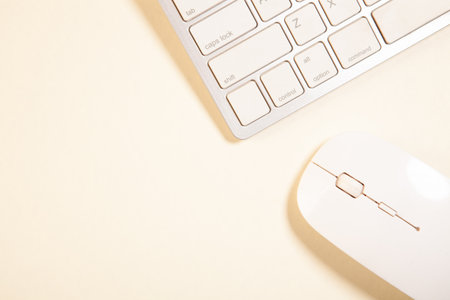 Computer keyboard and mouse on white background. Top view with copy space
