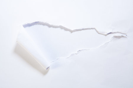 Torn white paper with space for your message or text on it