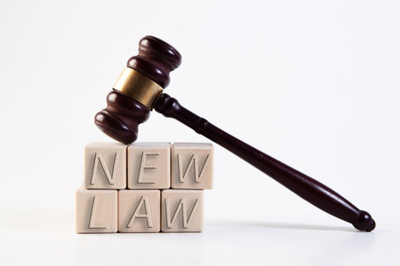 Wooden gavel and wooden block with the word new law.