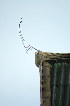 gable apex on the old abbey